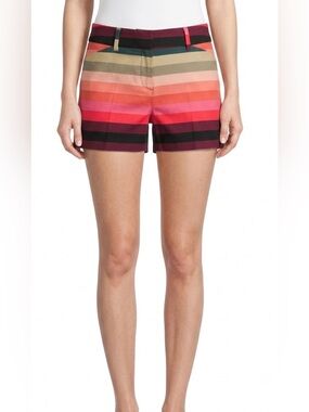 New York & Company Multi-Color Striped Stretch Shorts - Size 4